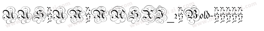 UUS UN NASXI_2 Bold字体转换